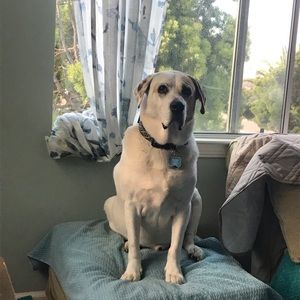 Meet your Posher, Rene